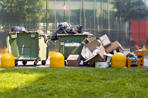 Efficient clearance professionals organizing items